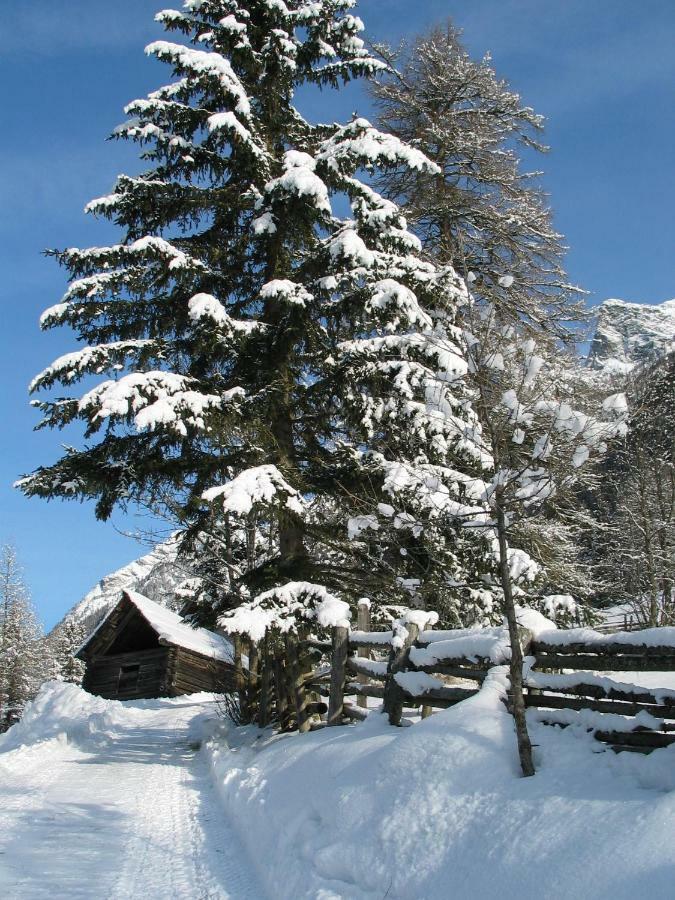 Apartment Schlickenhof Hintergöriach Exteriér fotografie